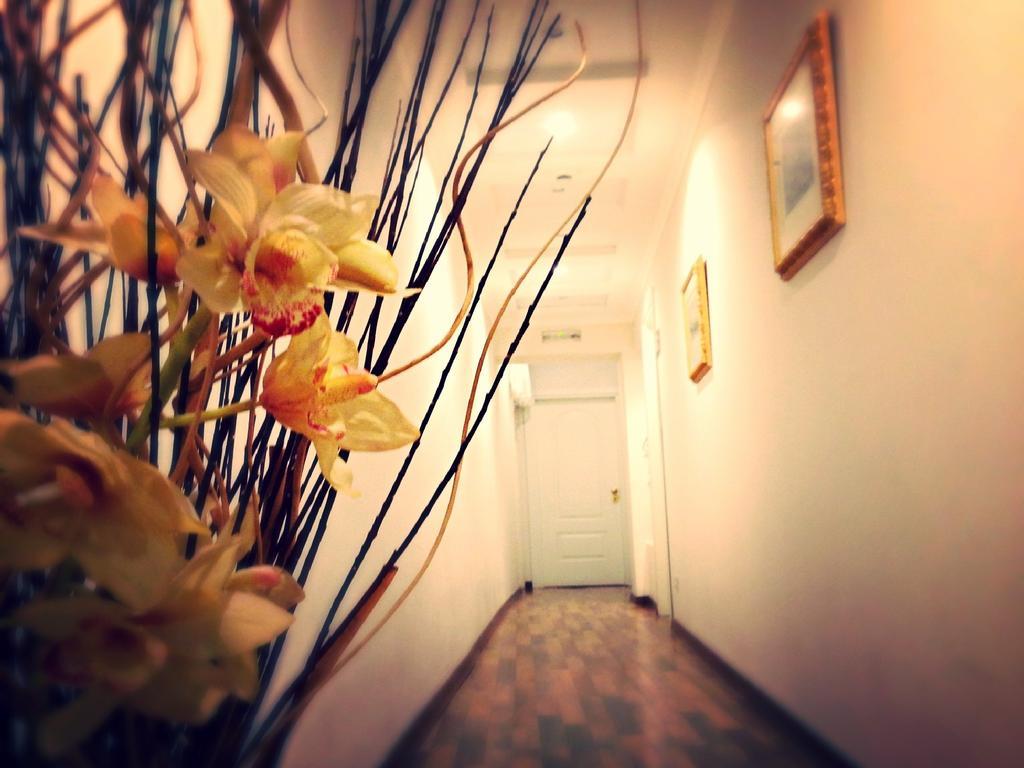 Bed and Breakfast Residenza Domiziano Rzym Zewnętrze zdjęcie